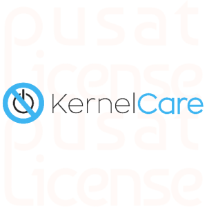 KernelCare
